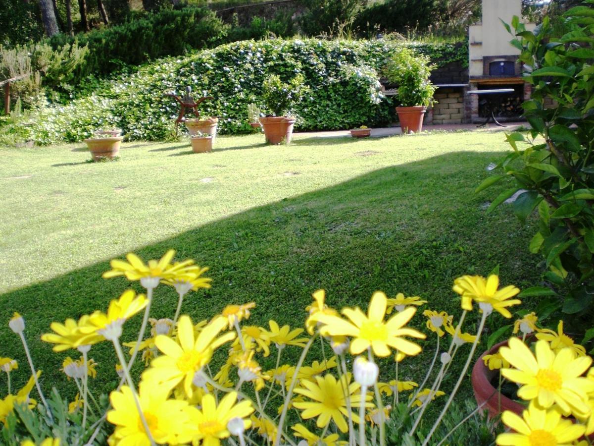 Agriturismo Santa Barbara Country House San Miniato Bagian luar foto